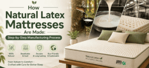 How Natural Latex Mattresses Are Made: Step-by-Step Manufacturing Process